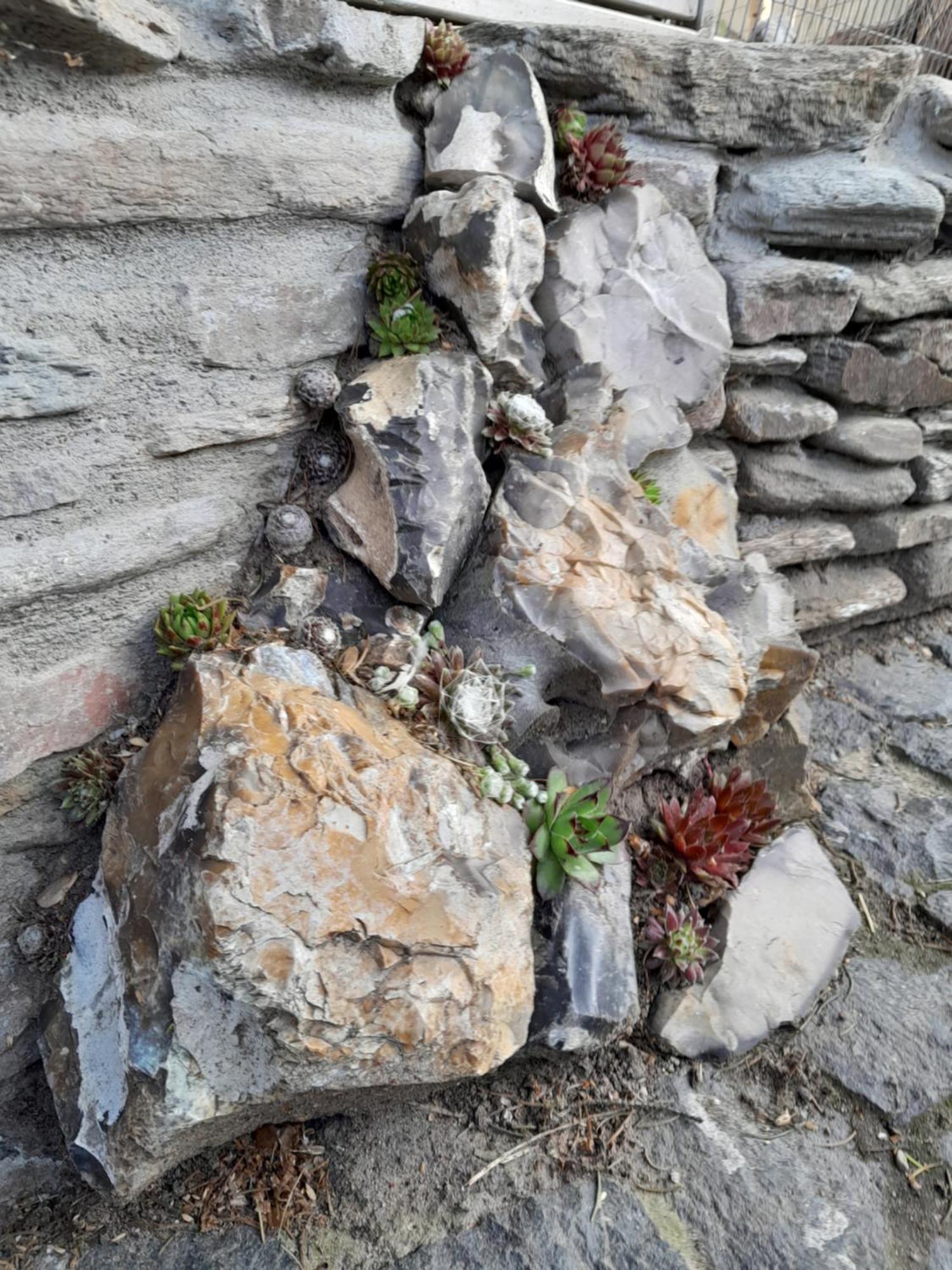 Pokoje Goscinne Skalnik - Agroturystyka Kostrzyn nad Odra Exterior photo